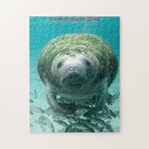 Quebra-cabeça Manatee Flórida. Saudações de Natal