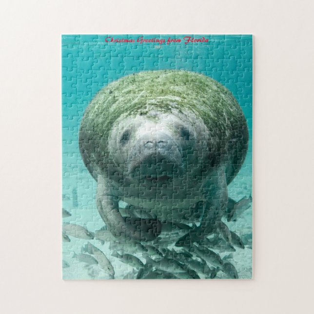 Quebra-cabeça Manatee Flórida. Saudações de Natal (Vertical)