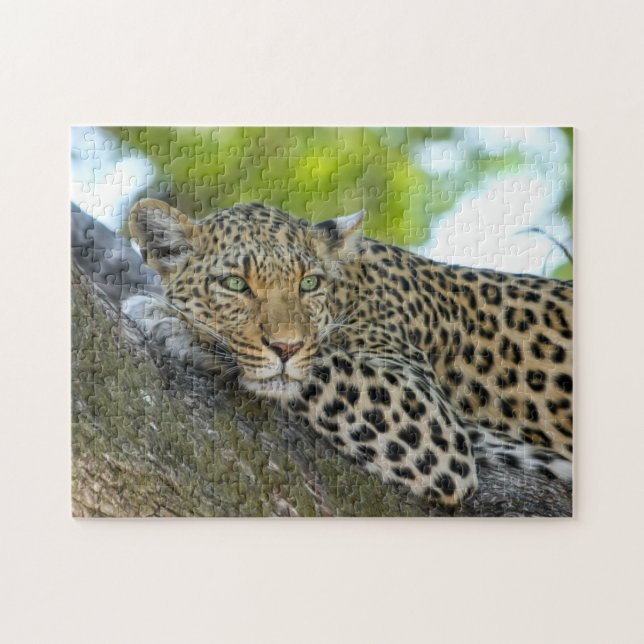 Quebra-cabeça Manchas-leopardo (Horizontal)