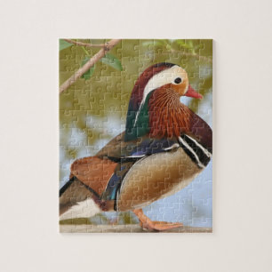 Quebra-cabeça Mandarin Duck