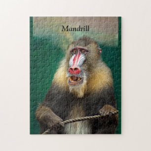 Quebra-cabeça Mandrill, África