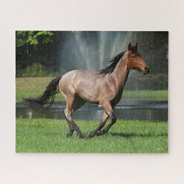 Quebra-cabeça Mangalarga em frente à fonte (Horizontal)