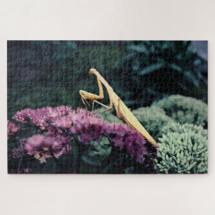 Quebra-cabeça Mantis Oração Roxa - 20x30'' 1014 Pe