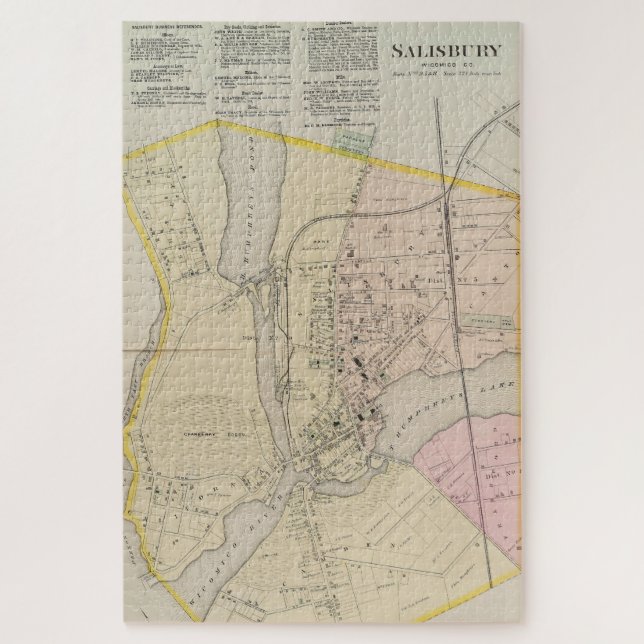 Quebra-cabeça Mapa de Salisbury MD (1877) (Vertical)