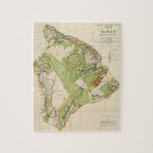 Quebra-cabeça Mapa do vintage de Havaí Ilha (1906)