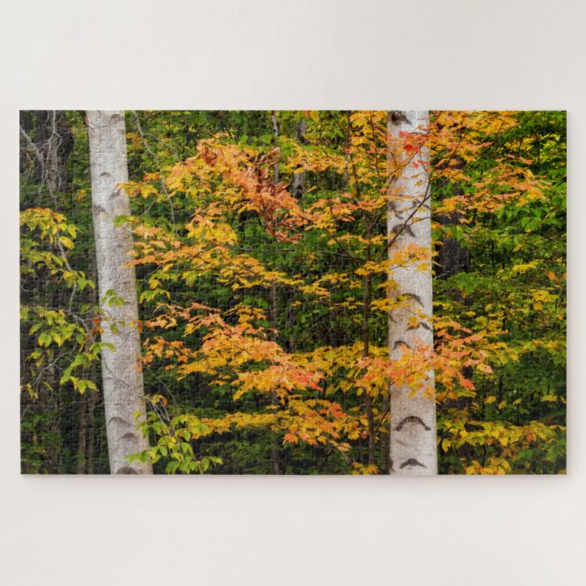 Quebra-cabeça Maple & Bétula Branca | White Mountains, NH (Horizontal)