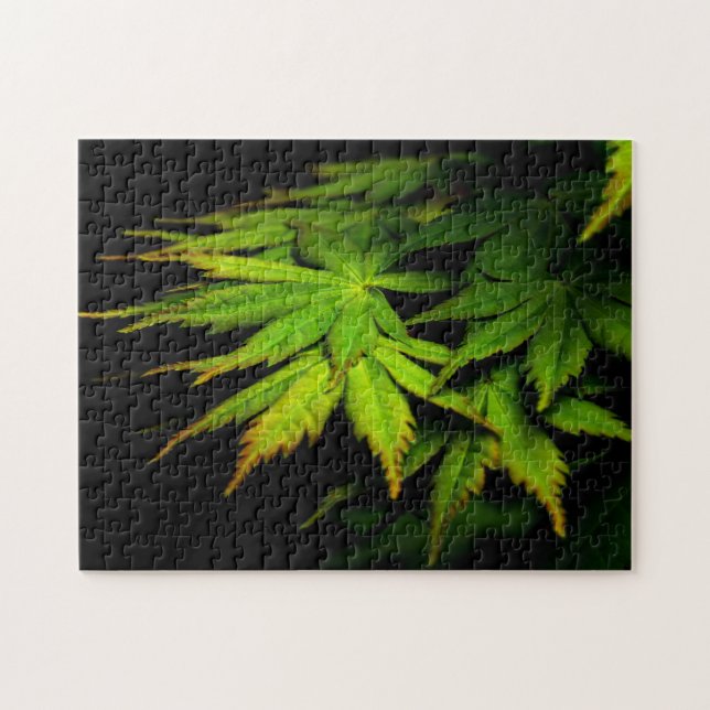 Quebra-cabeça Maple Japonês (Horizontal)