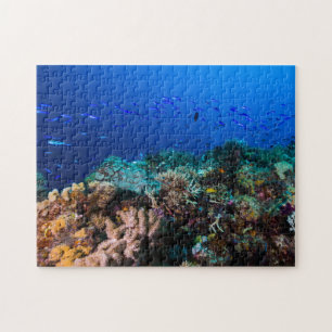 Quebra-cabeça Mar coral - peixes e recife tropicais -