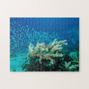 Quebra-cabeça Mar coral recife de coral tropical dos peixes do