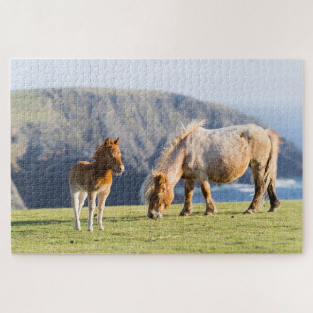 Quebra-cabeça Mare com Foal, Ilhas Shetland, Escócia (Horizontal)
