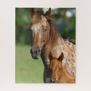 Quebra-cabeça Mare e Fogo do Cavalo de Appaloosa
