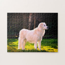 Quebra-cabeça Maremma Sheepdog Beauty