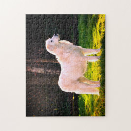 Quebra-cabeça Maremma Sheepdog Beauty