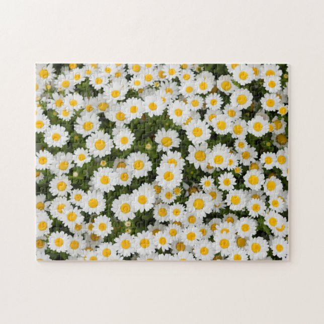 Quebra-cabeça Margarida (Horizontal)