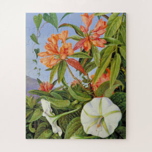 Quebra-cabeça Marianne North's trabalho de arte, A Javan Rhodode