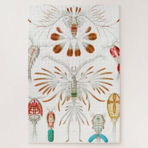 Quebra-cabeça Marine Life Crustaceans, Copepoda by Ernst Haeckel