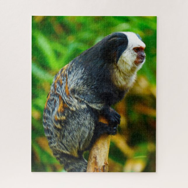 Quebra-cabeça Marmoset Branco. (Vertical)