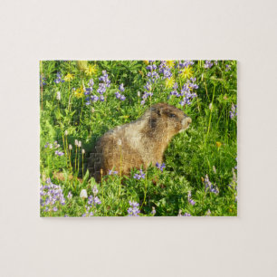 Quebra-cabeça Marmot no Monte Rainier Wildflower