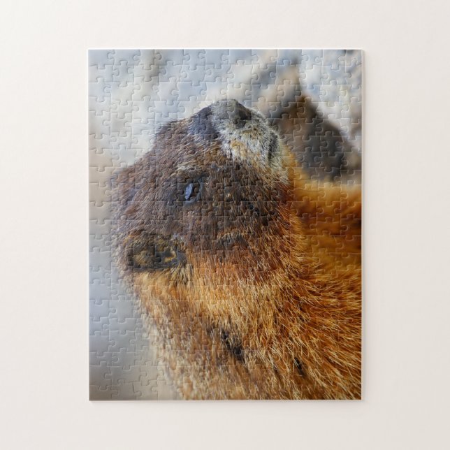 Quebra-cabeça marmota (Vertical)