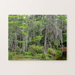 Quebra-cabeça Marshland Florida, EUA