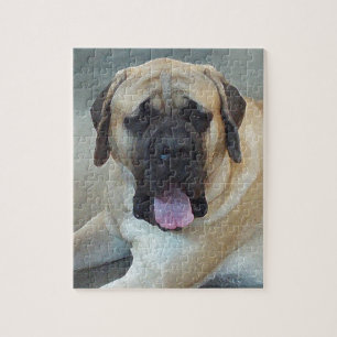 Quebra-cabeça Mastiff