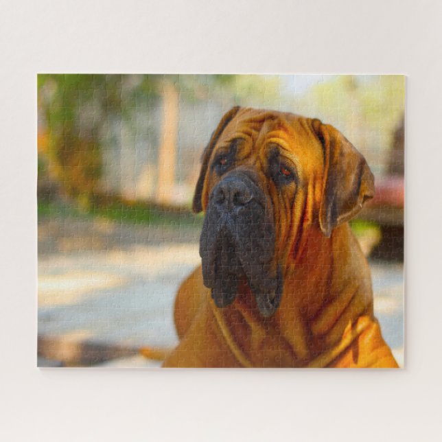 Quebra-cabeça Mastiff Dog. (Horizontal)