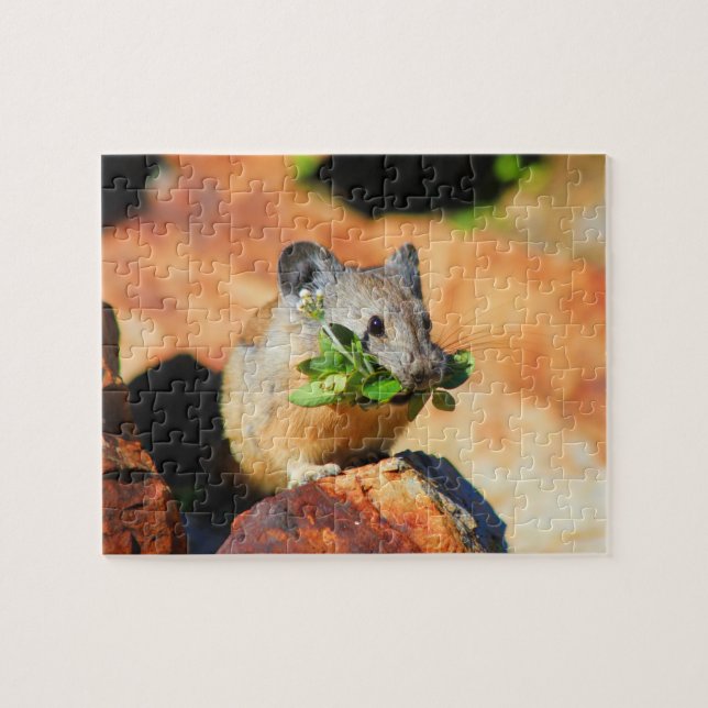 Quebra-cabeça Mastigação De Pika Em Plantas (Horizontal)