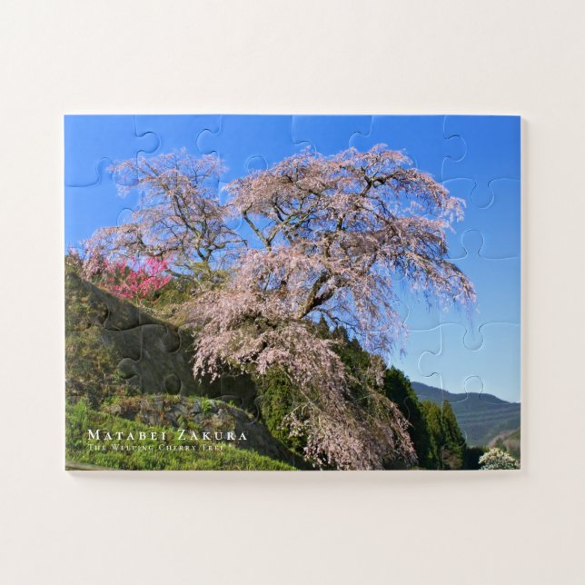 Quebra-cabeça Matabei-Zakura: Cerejeira Chorona (Horizontal)