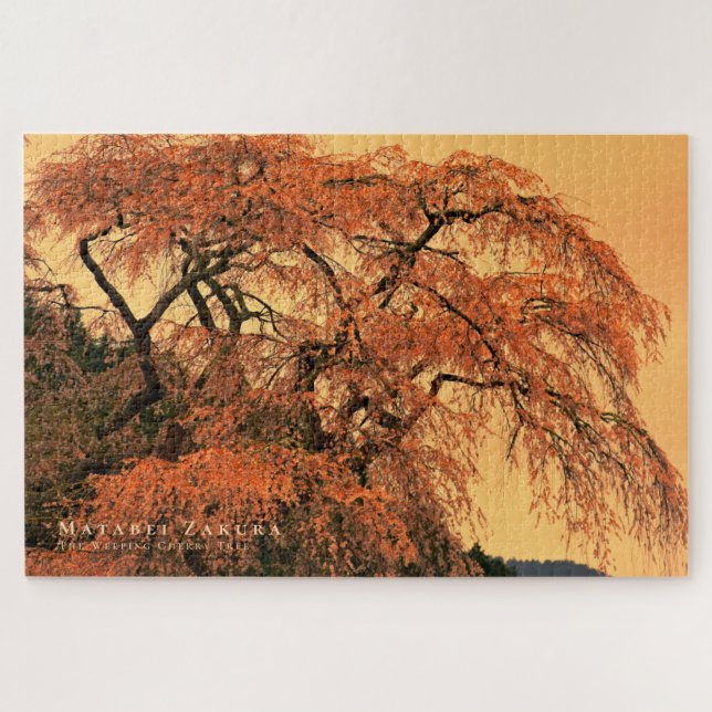 Quebra-cabeça Matabei-Zakura: Cerejeira Chorona (Horizontal)