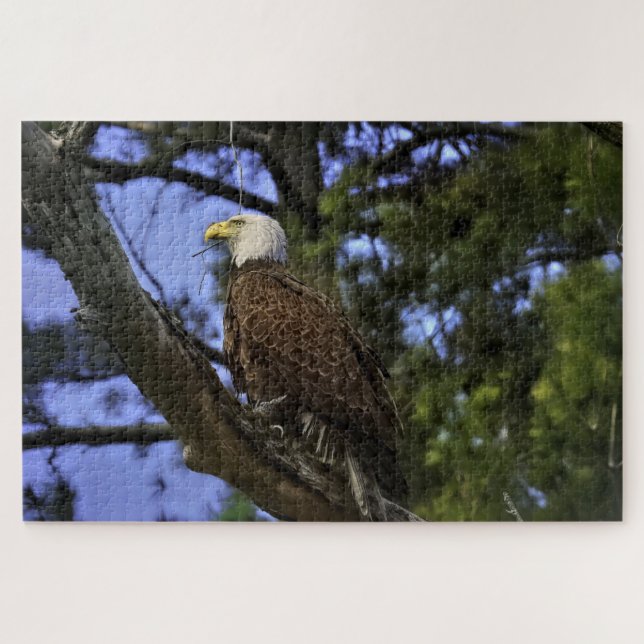 Quebra-cabeça Mature Bald Eagle (Horizontal)