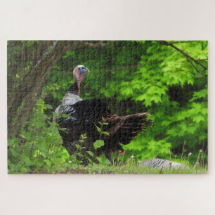 Quebra-cabeça Mature Male Wild Turkey