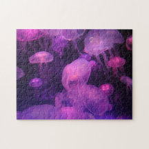 medusa rosa e púrpura