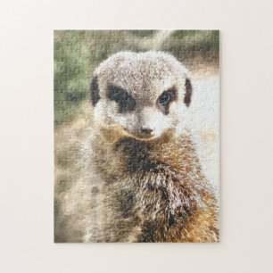 QUEBRA-CABEÇA MEERKAT