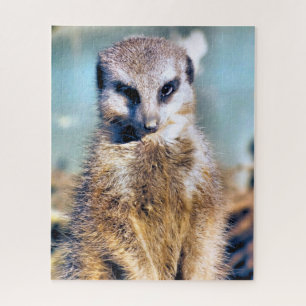 QUEBRA-CABEÇA MEERKAT