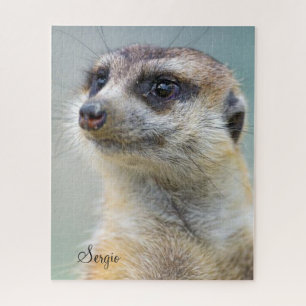 Quebra-cabeça Meerkat