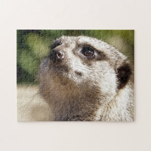 QUEBRA-CABEÇA MEERKAT