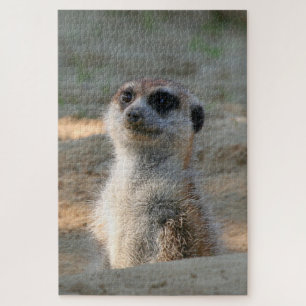 Quebra-cabeça Meerkat 004
