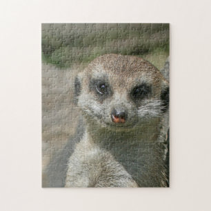 Quebra-cabeça Meerkat 005