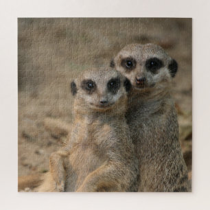 Quebra-cabeça Meerkat 067