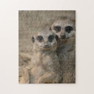 Quebra-cabeça Meerkat 090