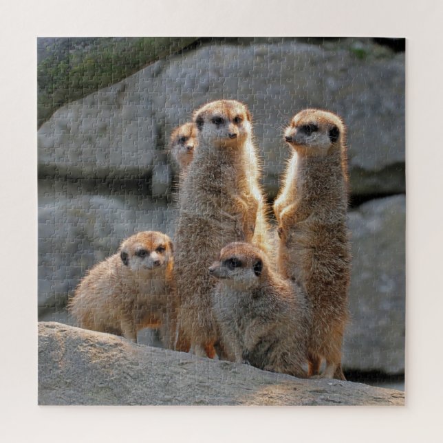 Quebra-cabeça Meerkat 110 (Vertical)