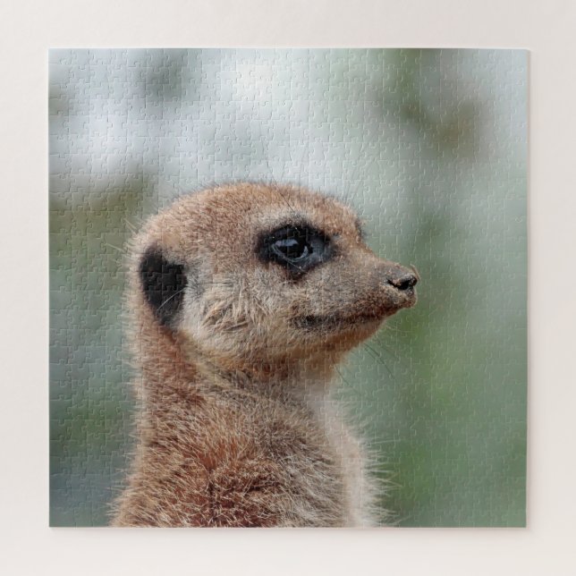 Quebra-cabeça Meerkat 180 (Vertical)