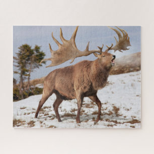 Quebra-cabeça Megaloceros (alce irlandês gigante) no