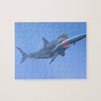 Quebra-cabeça Megalodon que come uma baleia