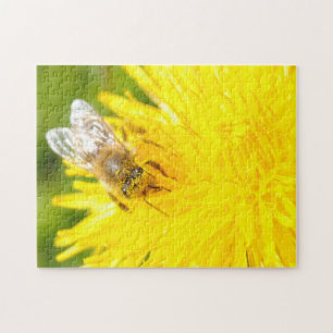 Quebra-cabeça Mel Bebê Dandelion Linda Macro Amarelo Sunny