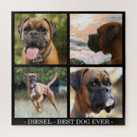 Melhor Cão Nunca | Colagem de Fotos Pet Personaliz