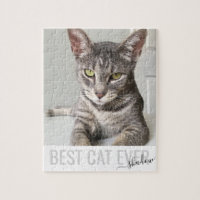 Melhor Gato Personalizado De Fotografias De Alguma