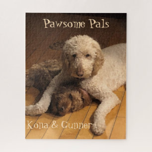 Quebra-cabeça Melhores Amigos para Sempre: O Duo Goldendoodle