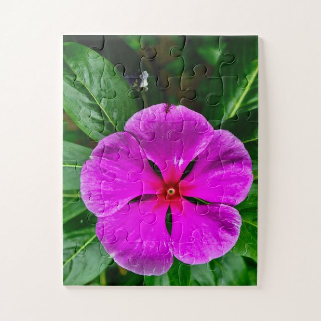 Quebra-cabeça Memória Radiante em Flor | Vinca Magenta Botânica (Vertical)