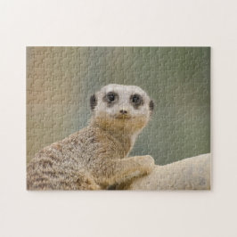 Quebra-cabeça Mercats Africa